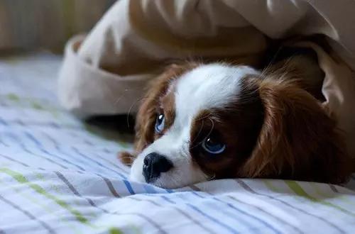 瞬间笑喷的爆囧奇葩,男人这种生物到底有没有情商啊!