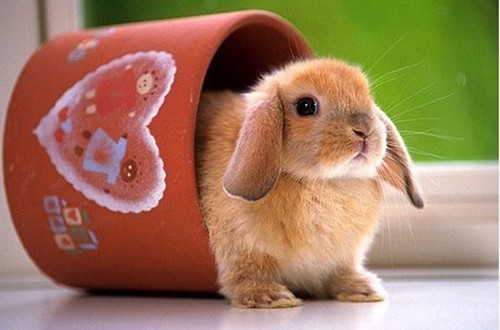 瞬间笑喷的爆囧奇葩,男人这种生物到底有没有情商啊!