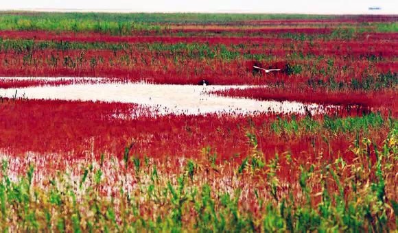 山东旅游景点大全自驾游,山东旅游景点推荐线路一览表