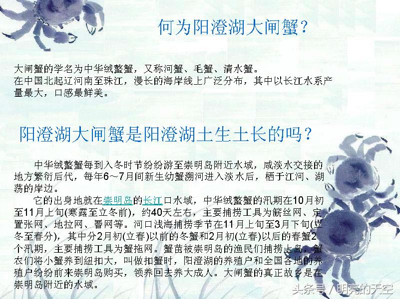 秋风起蟹脚痒下一句,秋风起蟹脚痒沪语