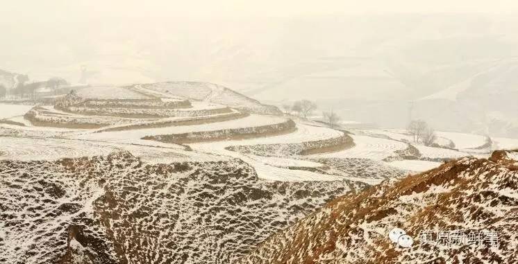 甘肃兰州的记忆,甘肃陇东雪景