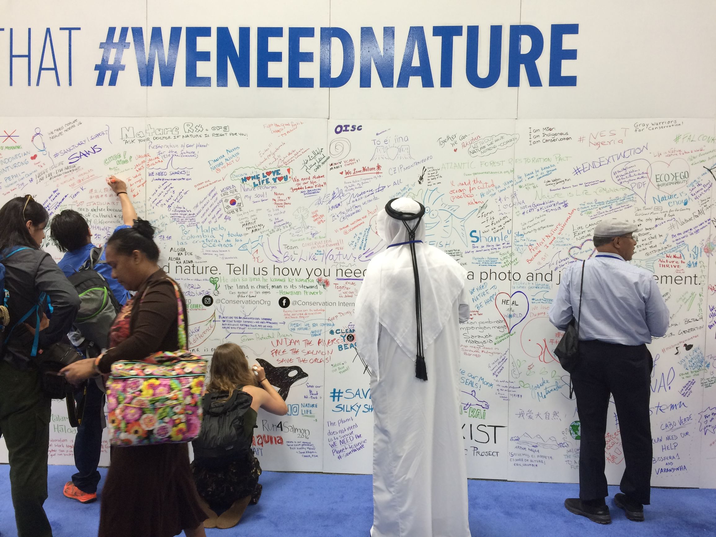 公益报道​|从肯尼亚山脉的草药到越南丛林的穿山甲