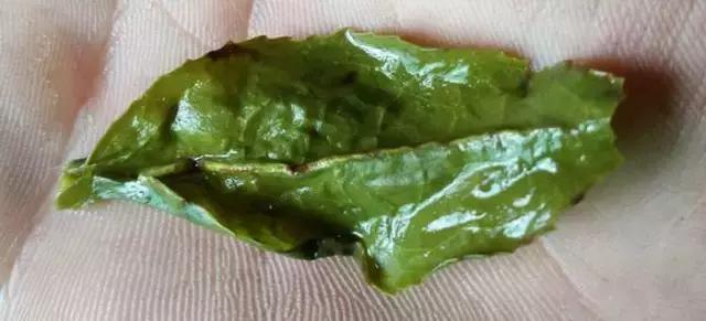 铁观音为什么滋味淡,铁观音很苦涩