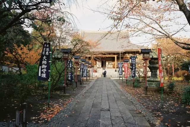 她了解关于东京的一切，并且想要告诉你