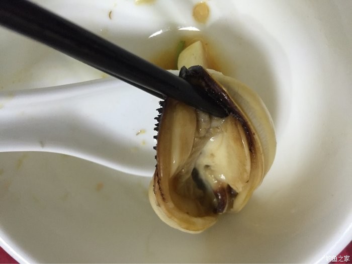 千岛湖钓翘嘴路亚,千岛湖路亚翘嘴选竿