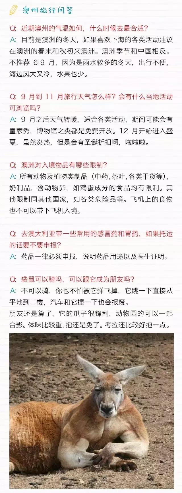 袋鼠国澳大利亚,袋鼠国澳洲