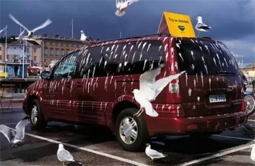 车色选黑的还是白的,车颜色选红色的好坏