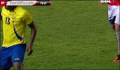 郁金香vs德国,郁金香战争