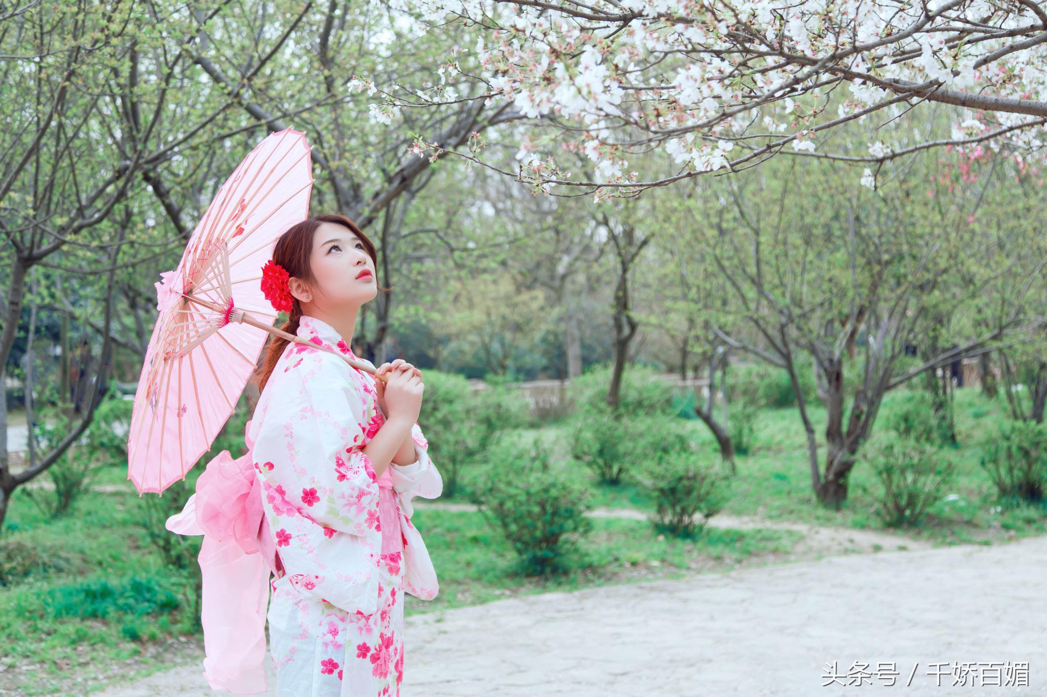 和服樱花日本,日本樱花美景和服