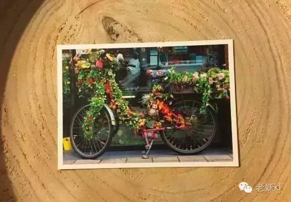 种草|荷兰秋日伴手礼清单