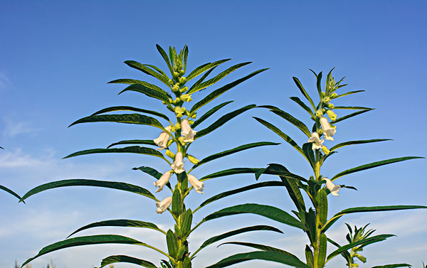 农民为啥不花钱,农民为什么不挣钱