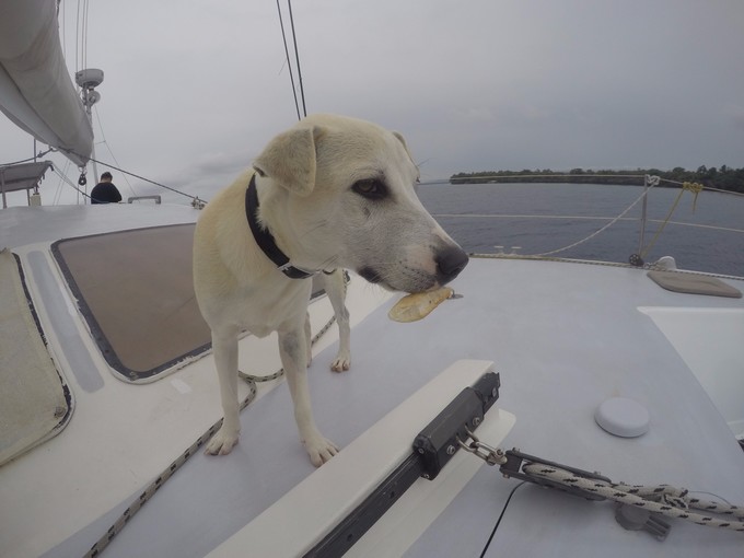 菲律宾潜水攻略 (菲律宾潜水游记)