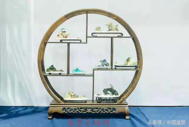 哪些野草适合微型盆景,小品盆景和微型盆景有区别吗