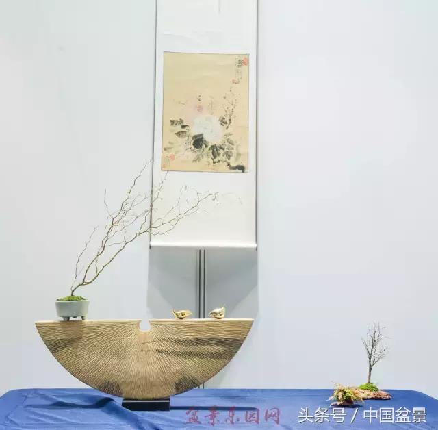 哪些野草适合微型盆景,小品盆景和微型盆景有区别吗
