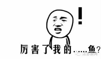 真相如此残酷!通过这种小动物按摩治脚气?小心患上皮肤病!