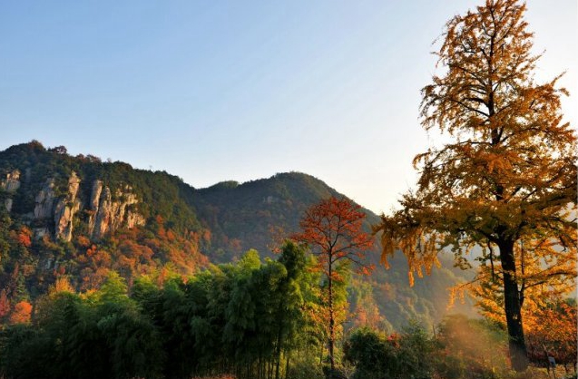 宁波周边秋季好去处,宁波秋季适合游玩的地方