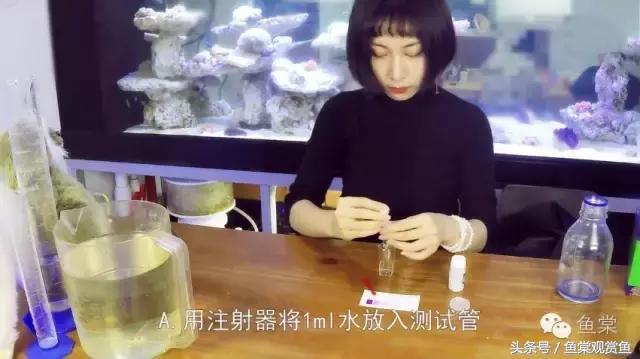 养鱼水质测试一般测试哪几种数值,新手养鱼水质怎么调理