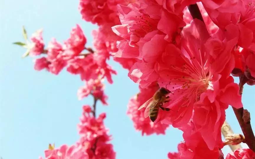 国庆佛山哪里好玩的景点适合小孩,佛山周边国庆旅游推荐好去处