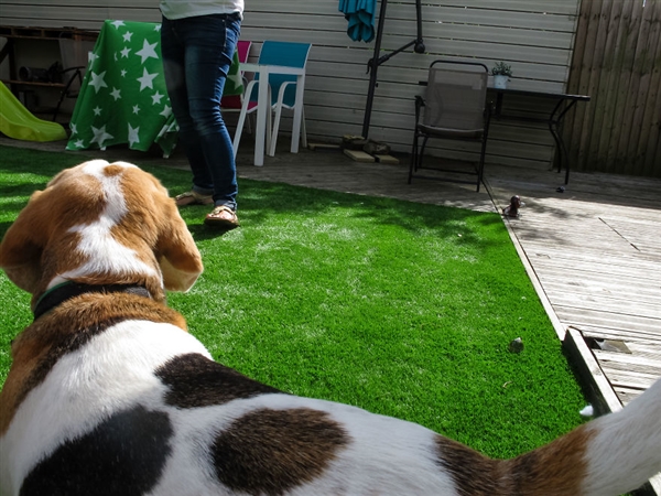 最小年纪摄影师,最小的摄影师6岁作品