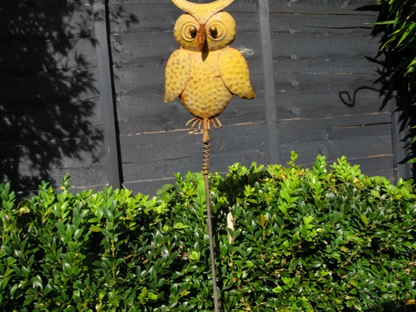 最小年纪摄影师,最小的摄影师6岁作品