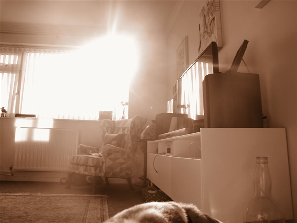 最小年纪摄影师,最小的摄影师6岁作品