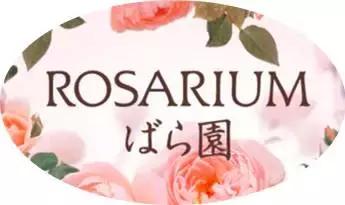 Word天!曾经不起眼的姨妈巾,这次颠覆了我们的三观