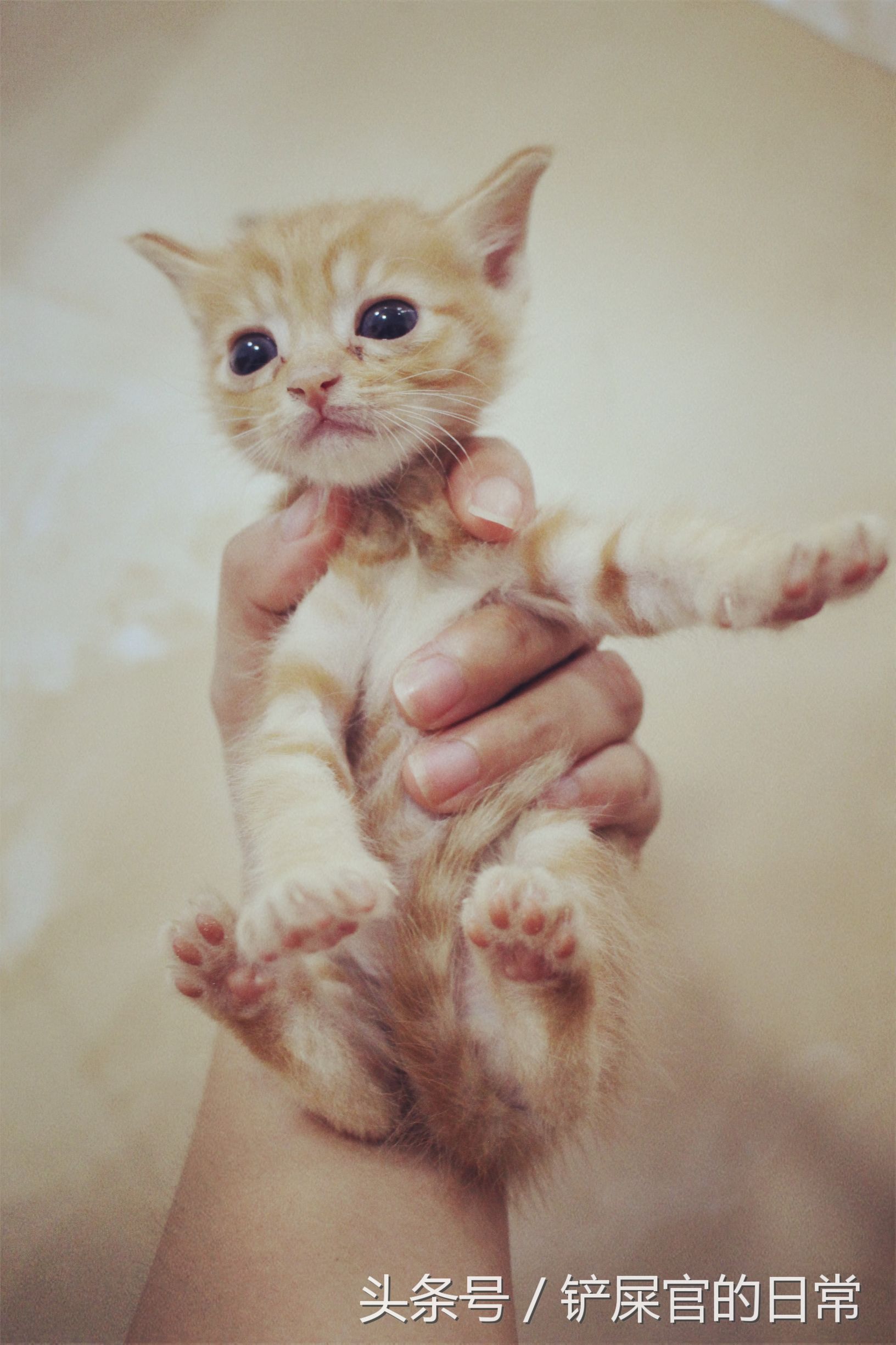 婊℃湀鐚挭鍊煎緱楂樺叴鐨勪簨,钀岀尗鍜垰婊℃湀