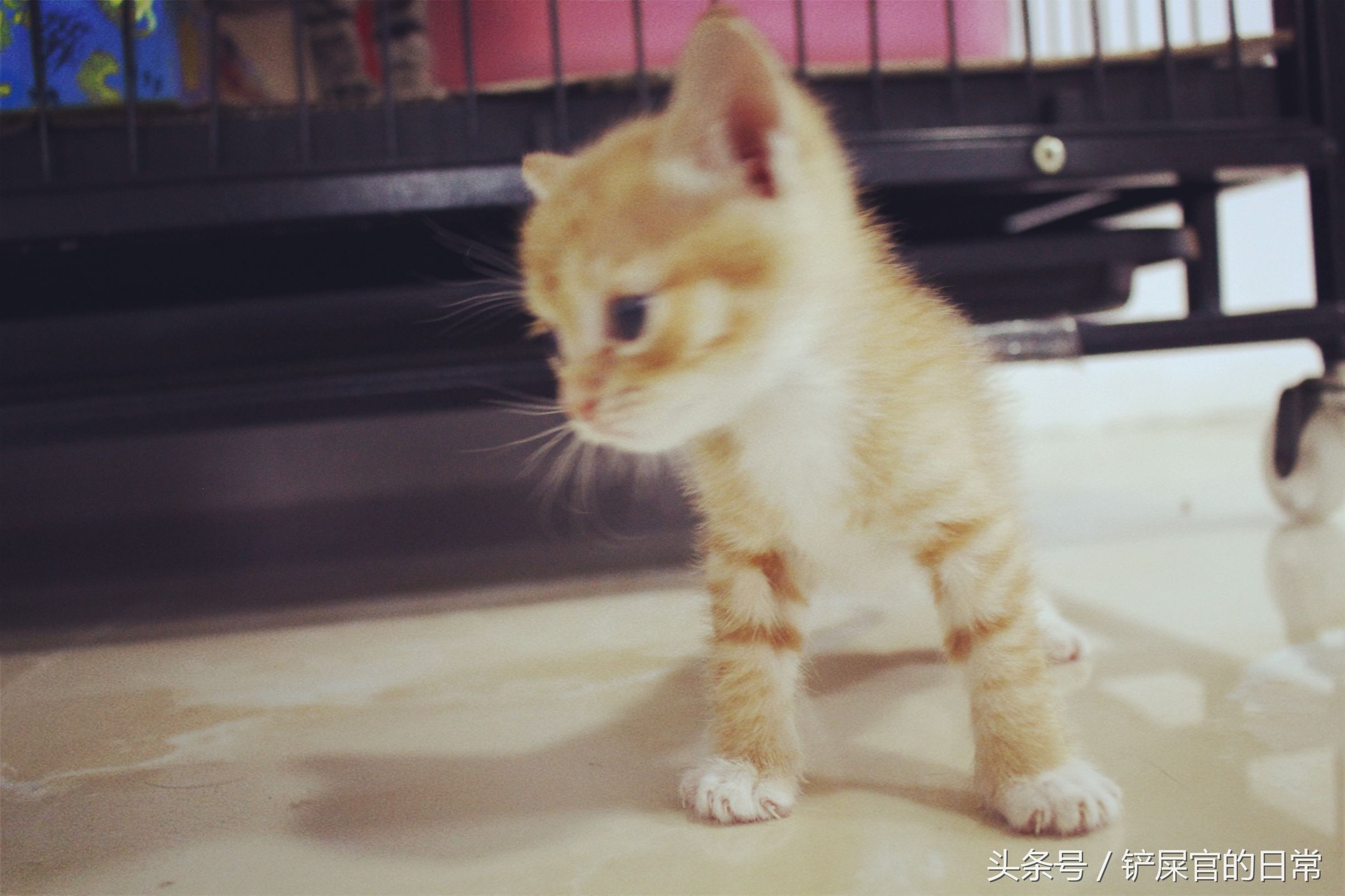 婊℃湀鐚挭鍊煎緱楂樺叴鐨勪簨,钀岀尗鍜垰婊℃湀