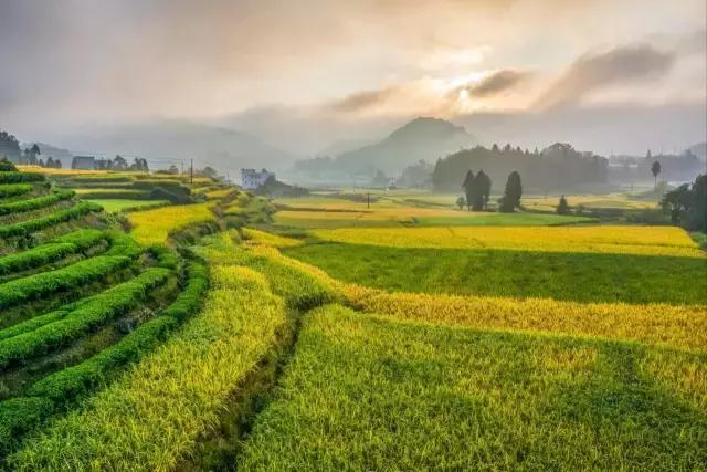 再不疯狂我们就老了时光音乐会,再不疯狂我们就老了旅游版