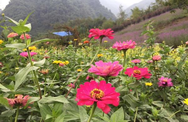 成都国庆悠闲一点到绵竹九龙吧！邻家女孩的感觉！
