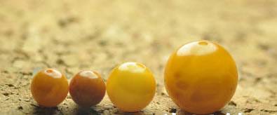 蜜蜡最新造假技术,蜜蜡作假