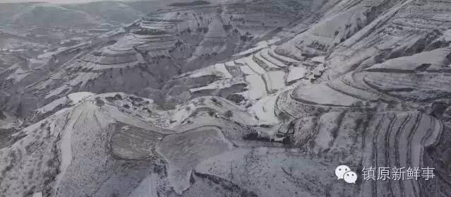 甘肃兰州的记忆,甘肃陇东雪景