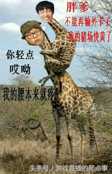 s6edg0-4,s6edg厂长vsrox的瞎逼操作