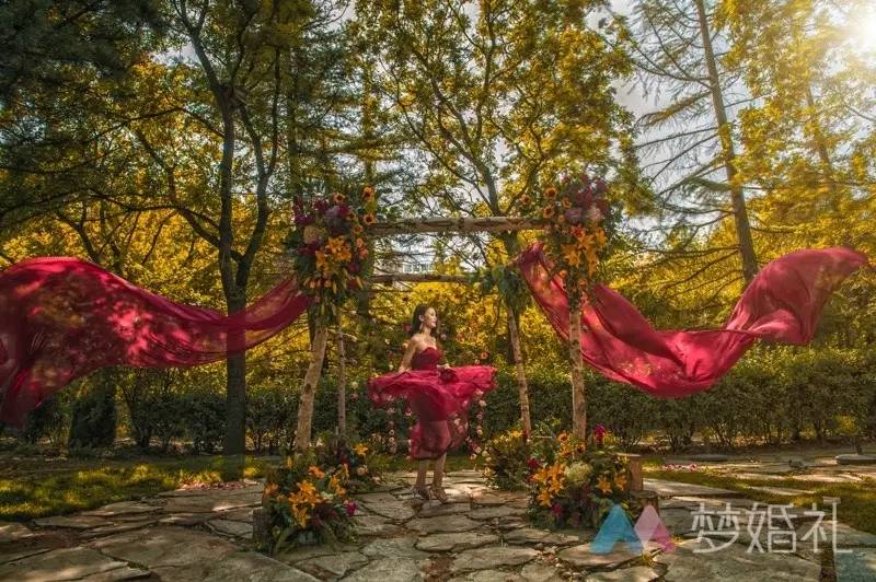 这场还原“暮光之城”的波西米亚婚礼，一只心机柯基成功抢镜