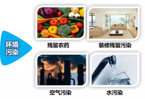 化学性肝损伤什么意思,怎么知道自己有没有化学性肝损伤