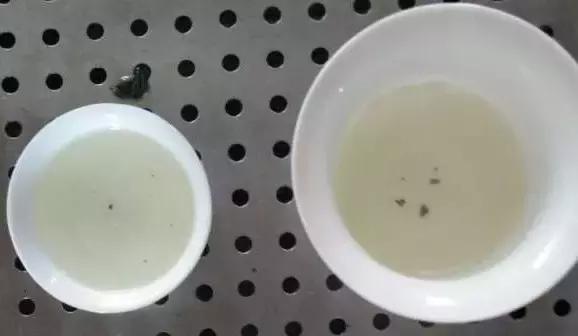 铁观音为什么滋味淡,铁观音很苦涩