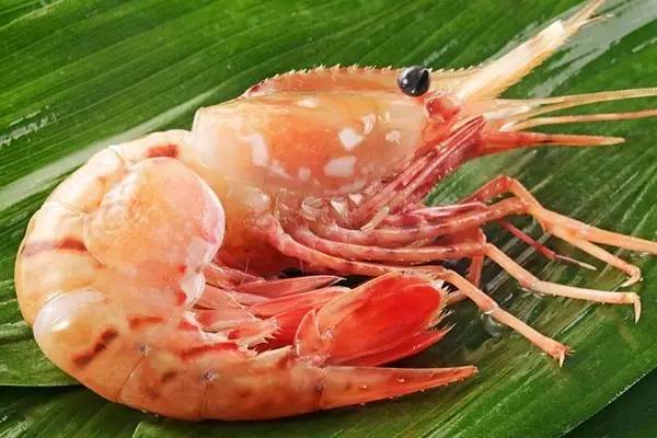 吃货科普小龙虾,360度无死角吃货