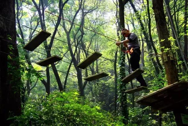 郫县买房怎么选,郫县房子值得买吗