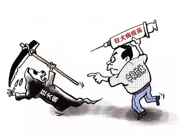 被汪星人咬伤不可小觑,如何自救学起来!