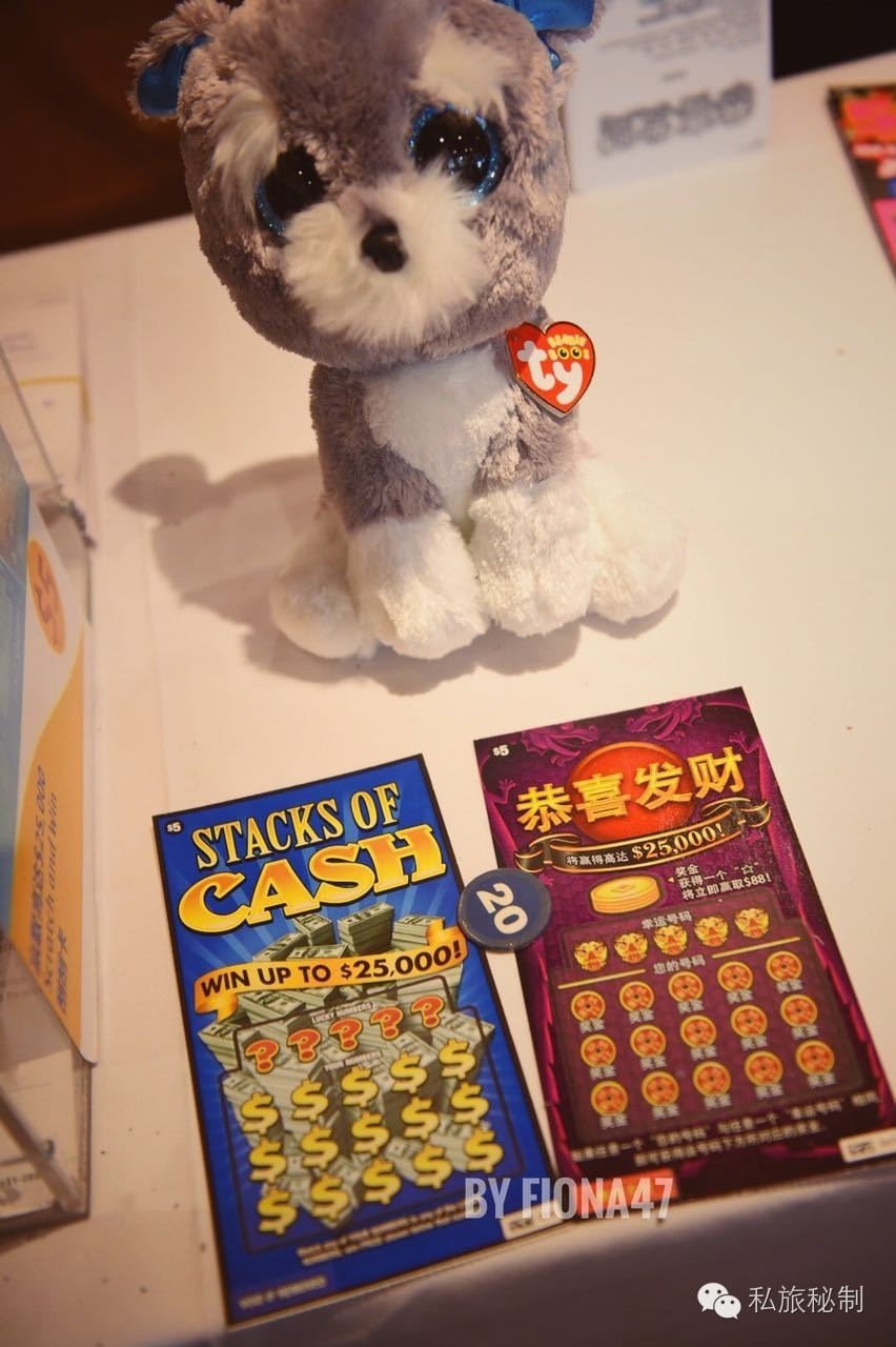 海上邮轮旅游全攻略,海上邮轮旅游攻略