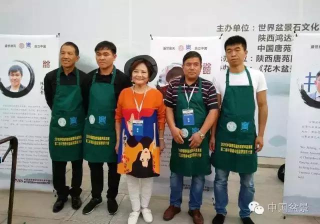 盆景制作与市场,盆景行业的内幕