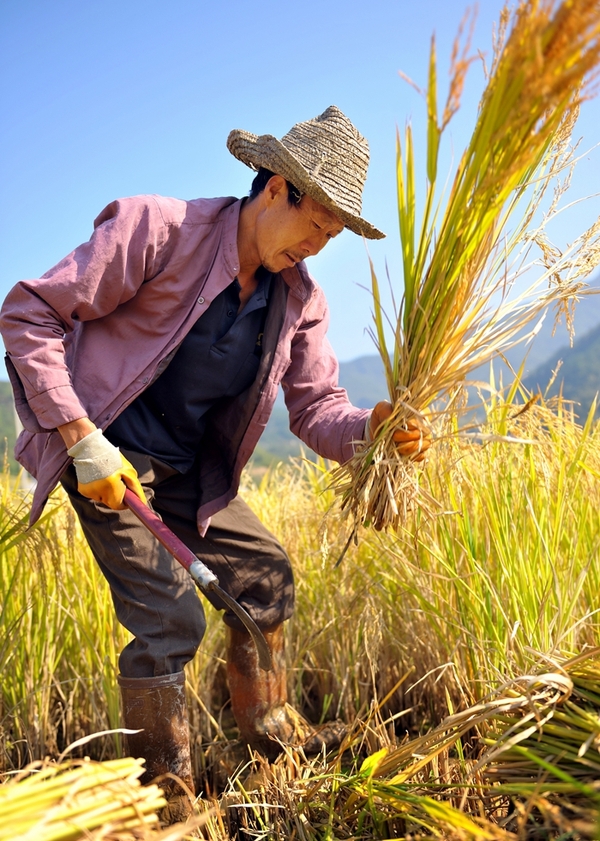 伏羲女娲旅游地,女娲补天的地域都在哪里