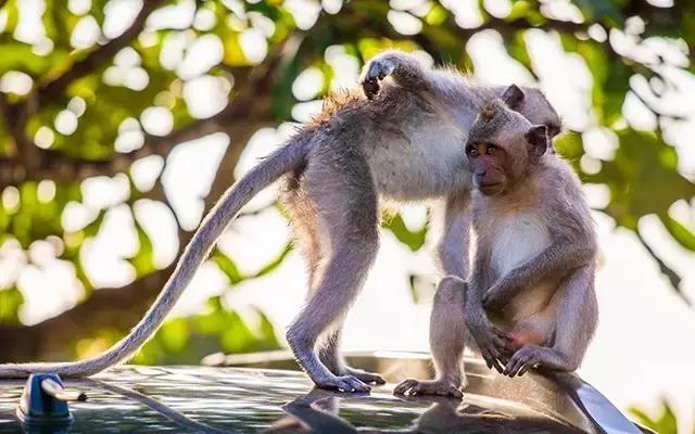 十一怎么玩最省钱,十一怎么旅游省钱