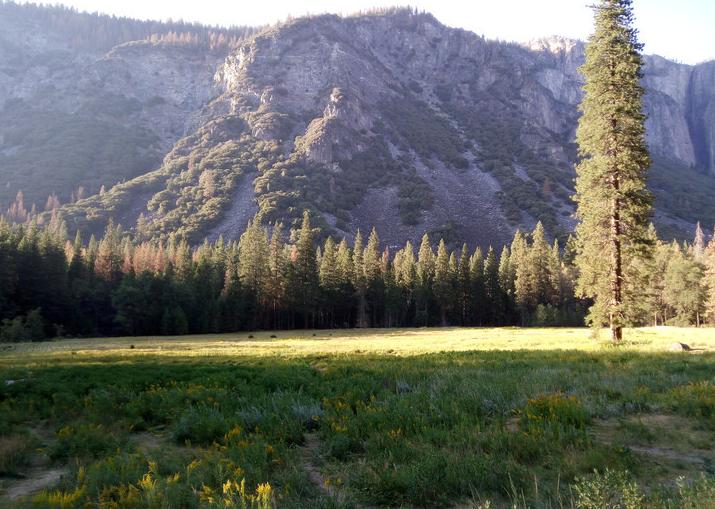 美国优胜国家森林公园,美国优胜美地国家森林公园风光