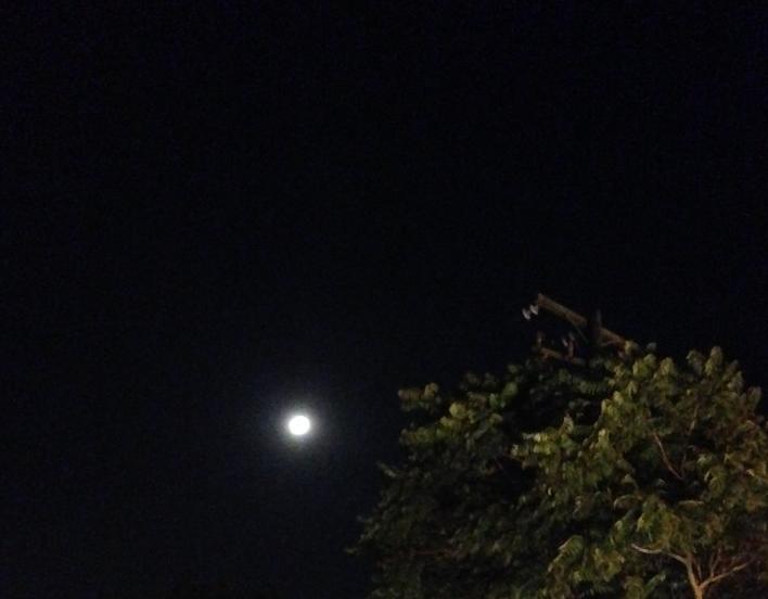 美国优胜国家森林公园,美国优胜美地国家森林公园风光