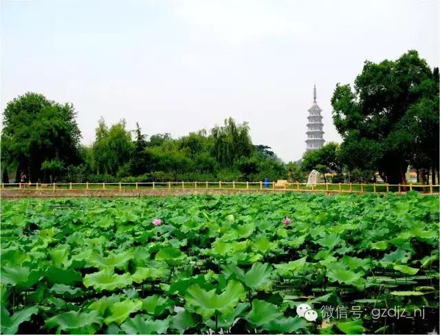 涟水有多美？涟水的美，岂是一句两句能够解释清楚的？