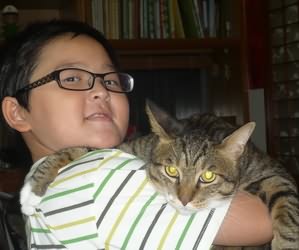 猫星人不让抱？教你六招如何正确的抱猫