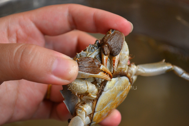 螃蟹要怎么清洗才干净,螃蟹如何清洗干净又好吃