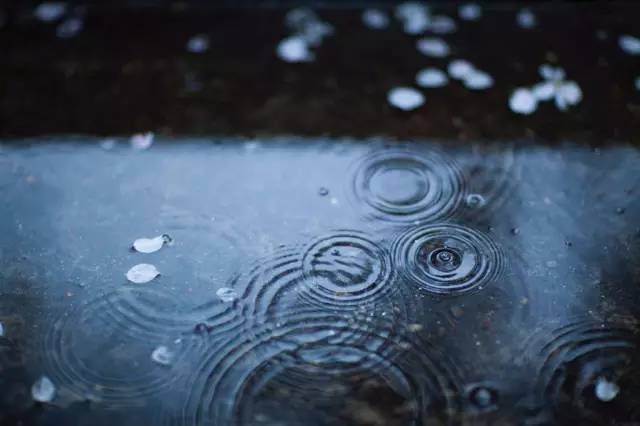 国馆丨缺乏智慧的行善，比作恶更恶