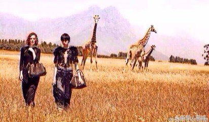 虚荣心是一种病,虚荣心的真正含义